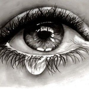 Meet your Posher, Sandy